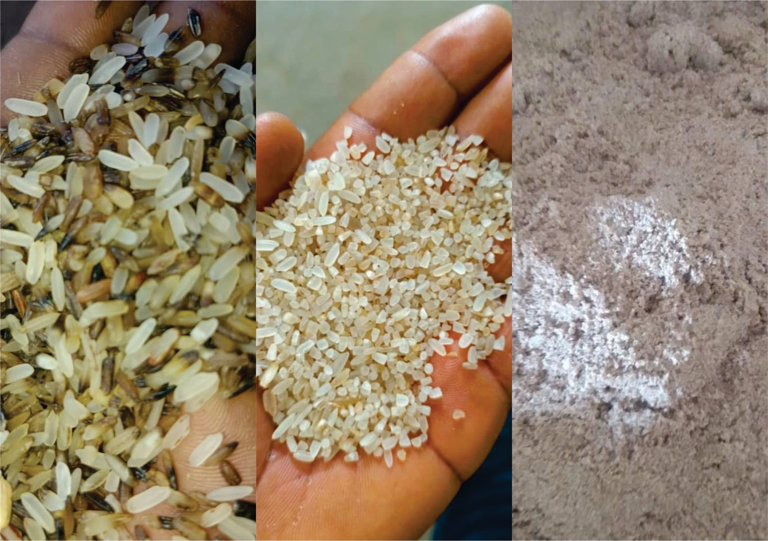 Champions Rice, Broken Rice & Rice Bran by-products